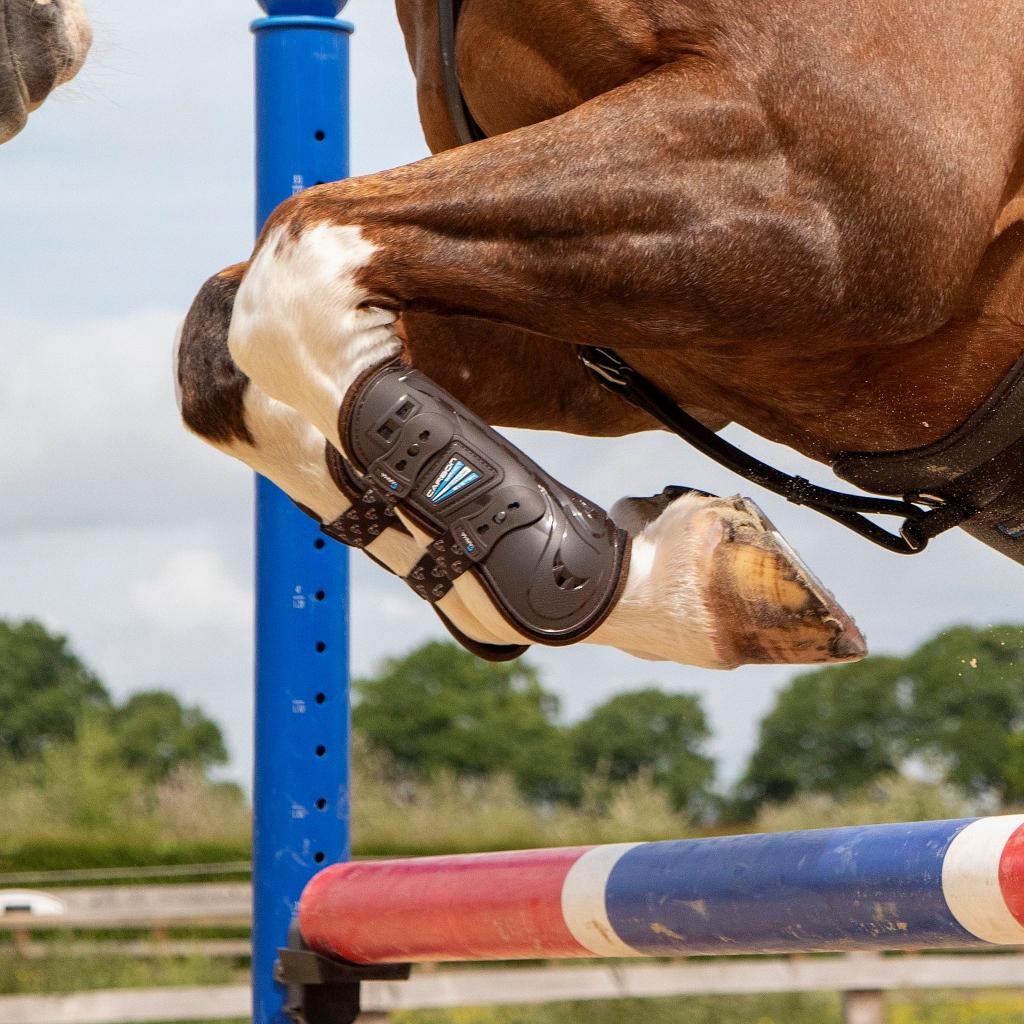 Shires Arma Carbon Peesbeschermers Zwart of Bruin, Cob, Full, Dieren en Toebehoren, Ophalen of Verzenden, Nieuw, Rijden