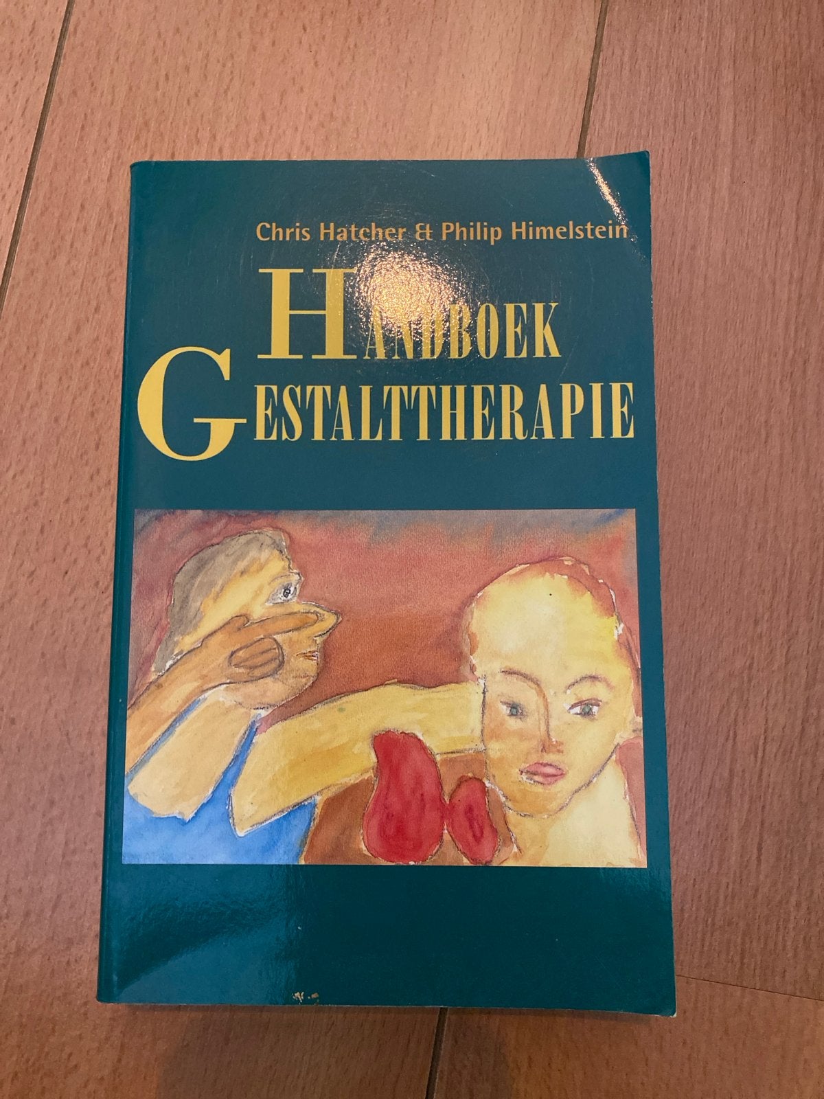 Handboek Gestalttherapie - Chris Hatcher & Philip Himelstein, Boeken, Ophalen of Verzenden, Gamma, Gelezen, HBO