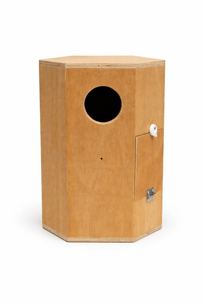 Broedblok | nestkast Bourke parkieten 6 kantige nieuw, Ophalen of Verzenden, Nieuw, Hout, Volière