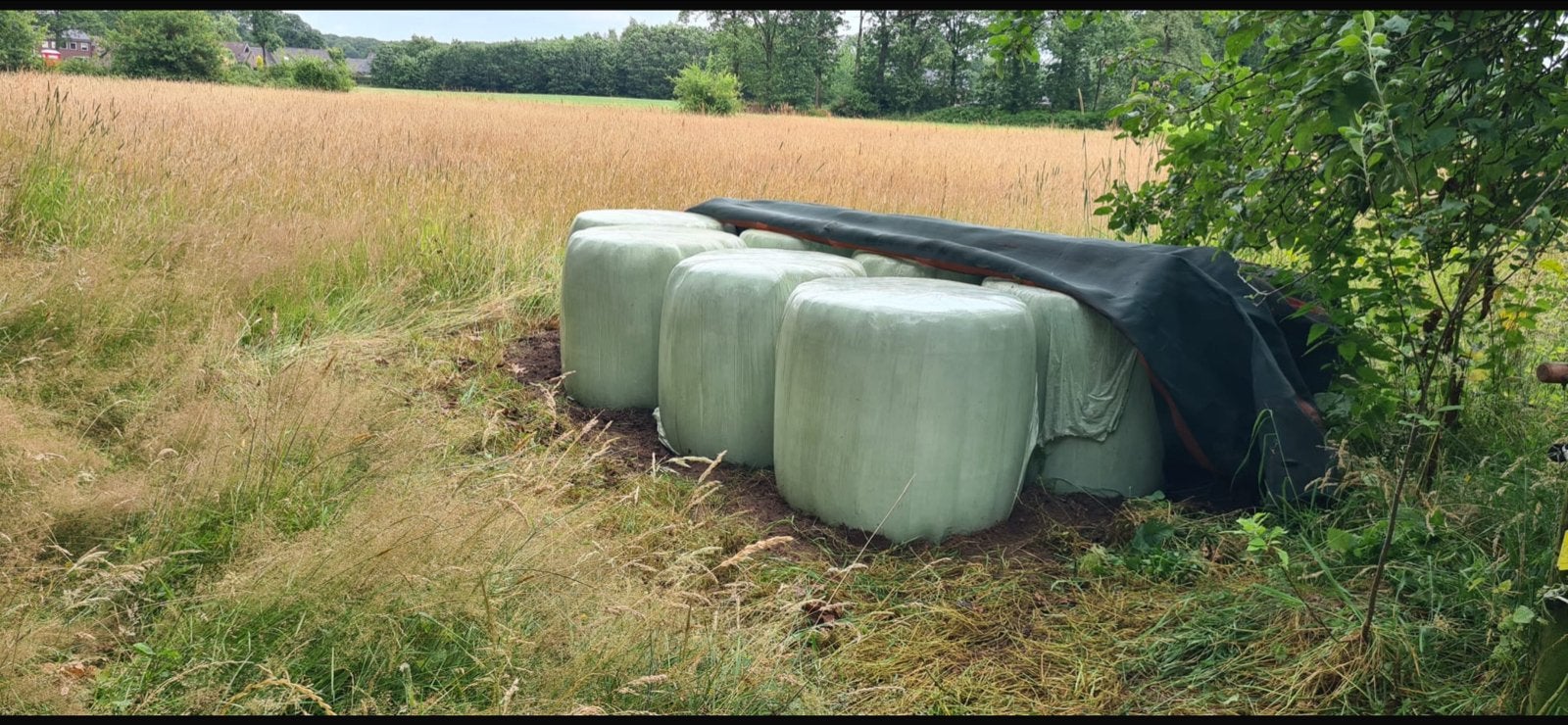 24 midi-grasbalen van kruidenrijk hooiland, Ophalen
