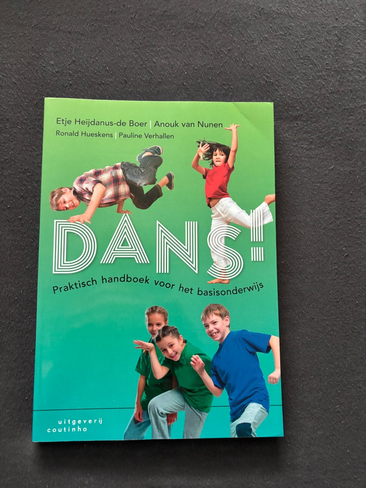 DANS! Praktisch handboek voor het basisonderwijs, Ophalen of Verzenden, Zo goed als nieuw, Overige niveaus