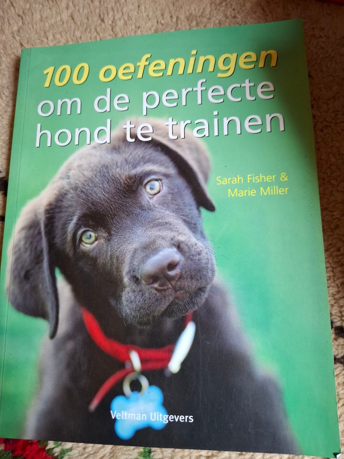 100 oefeningen om de perfecte hond te trainen, Boeken, Ophalen of Verzenden, Gelezen, Honden, Sarah Fisher & Marie Miller