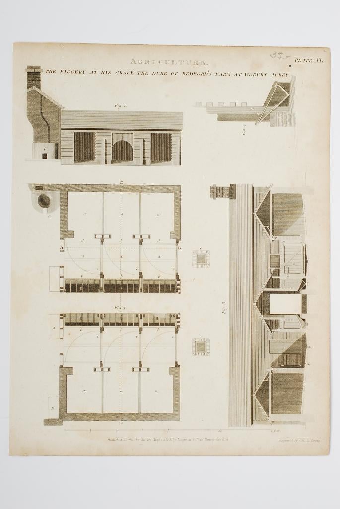De varkensstal agricultuur - Antieke illustratie, Verzenden, Voor 1940, Gebruikt