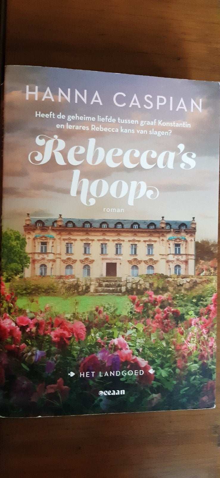 Rebecca's Hoop-  Hanna Caspian, Ophalen of Verzenden, Zo goed als nieuw, Hanna Caspian