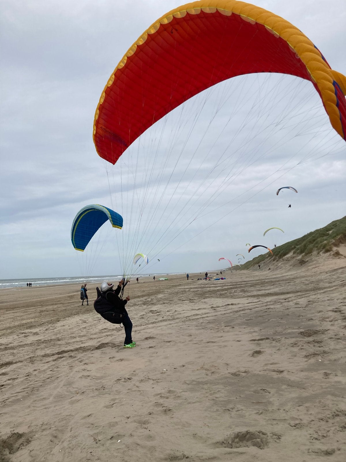 Advance Epsilon 5/28 Paraglider - Goed onderhouden, Ophalen of Verzenden, Gebruikt, Scherm