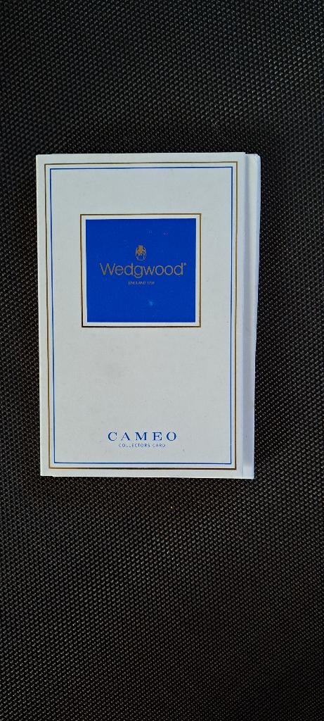 Wedgewood Cameo, Ophalen of Verzenden, Zo goed als nieuw
