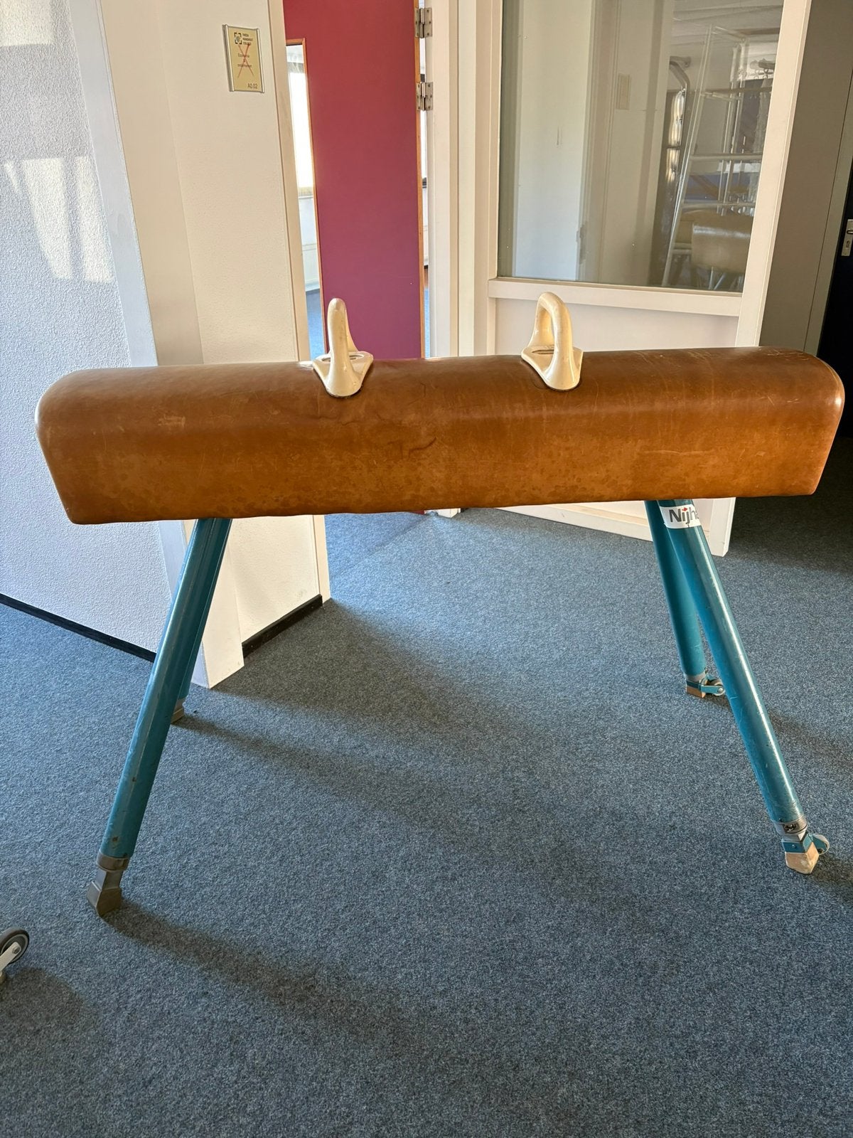 Turnpaard, Sport en Fitness, Turnen, Maat 36 t/m 42, Ophalen, Gebruikt, Overige typen