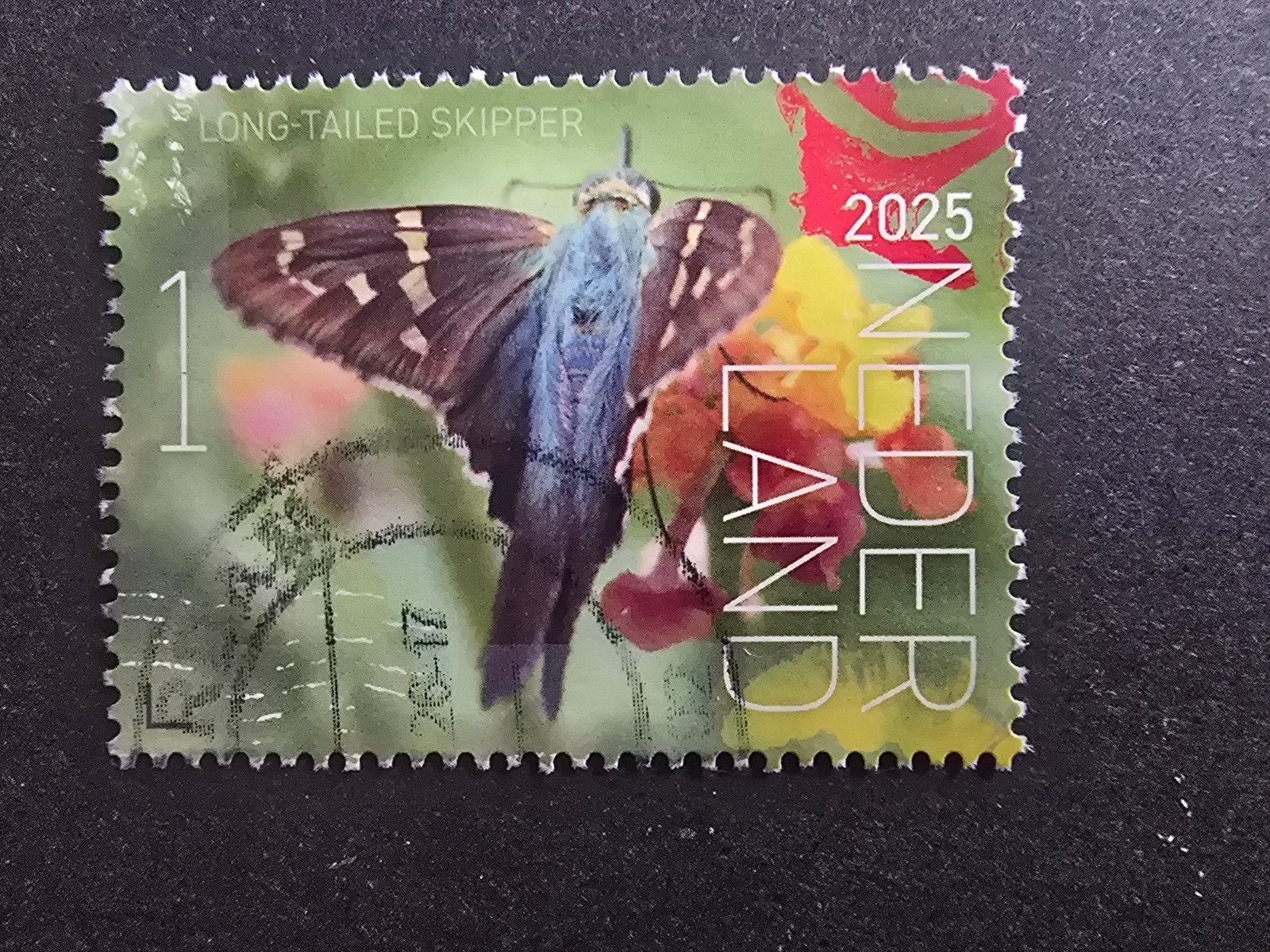 Beleef de Natuur St. Eustatius 2025 - Long-Tailed Skipper, Postzegels en Munten, Postzegels | Nederland, Ophalen of Verzenden