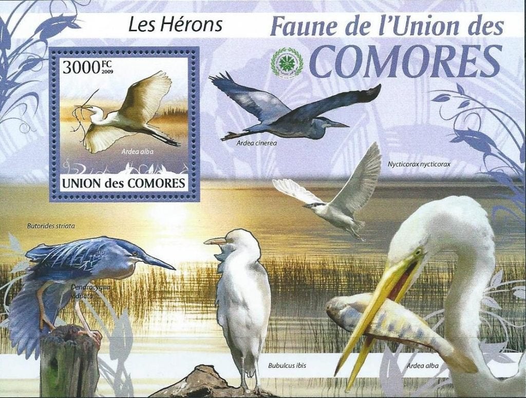 Vogels - Comoren - Mi blok 519 - Postfris, Ophalen of Verzenden, Postfris, Dier of Natuur