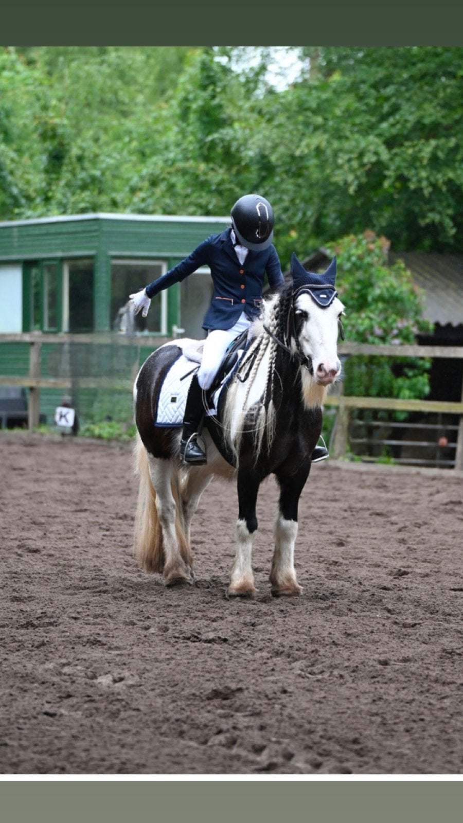verzorg pony gezocht OMGEVING DOETINCHEM, Ophalen