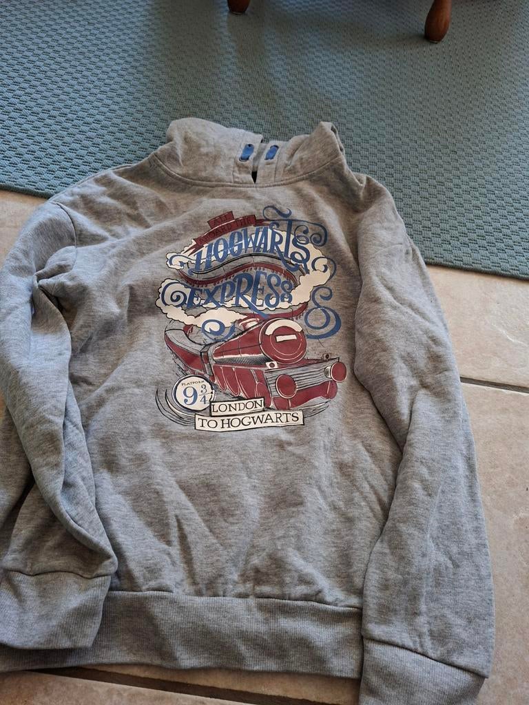 Harry Potter trui / hoodie maat 158 / 164, Kinderen en Baby's, Ophalen of Verzenden, Zo goed als nieuw, Jongen of Meisje, Trui of Vest
