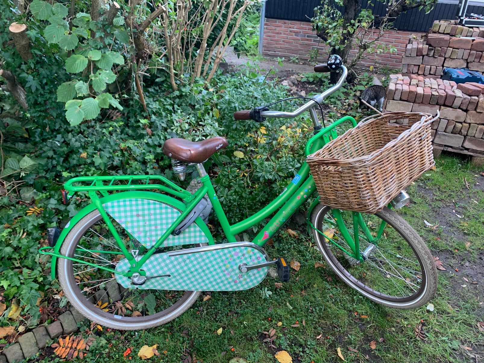 Groene cortina meisjesfiets - 24 inch, Ophalen of Verzenden, Zo goed als nieuw, 24 inch