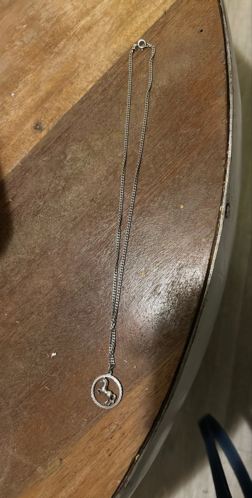 Zilveren ketting met zilveren paardenhanger, Met hanger, Ophalen of Verzenden, Zo goed als nieuw, Zilver