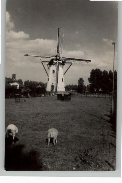 Nieuwerkerk Molen, Verzenden, Voor 1920, Ongelopen, Zeeland