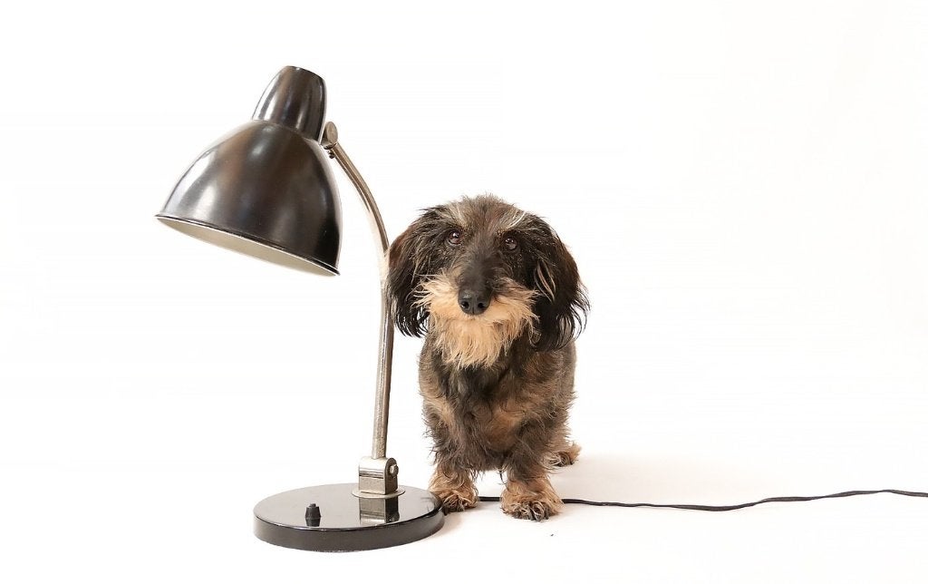 Vintage Design Bureaulamp Tafellamp Zwart Bauhaus stijl, Ophalen, Gebruikt