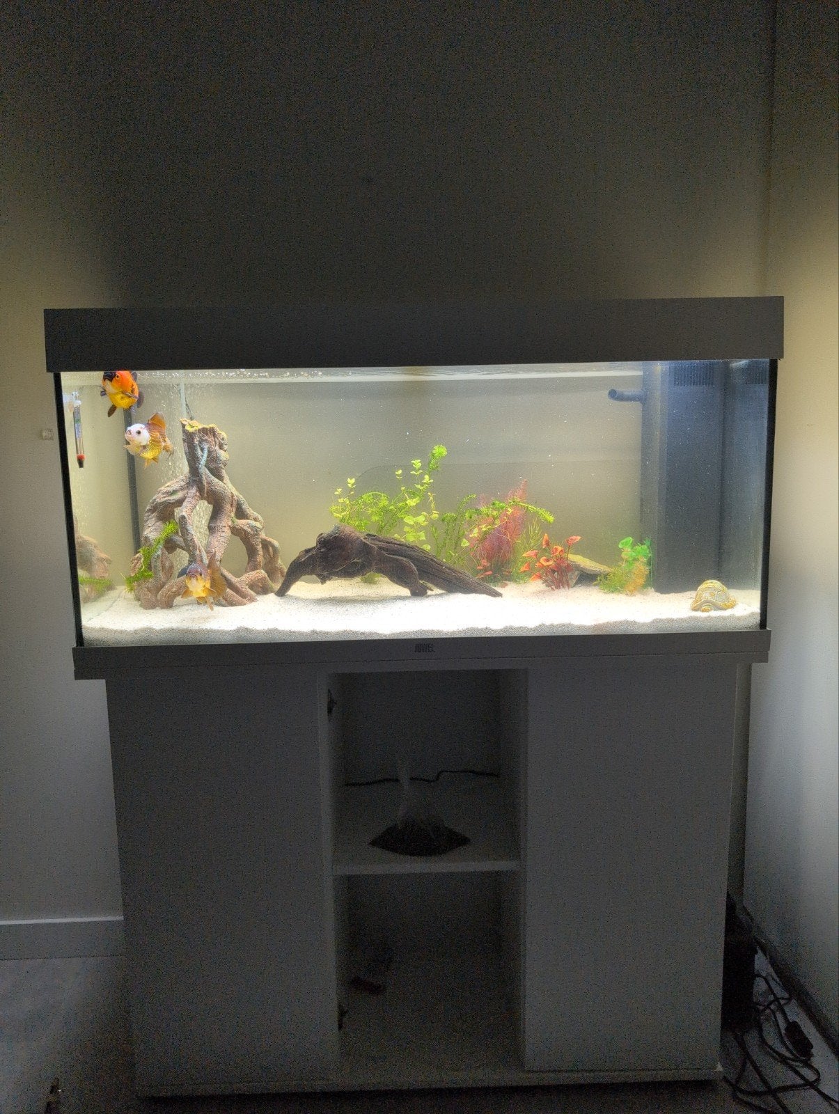 juwel aquarium rio 180, Ophalen, Aquariummeubel, Nieuw, Inclusief vissen