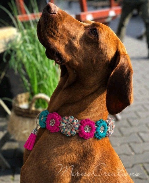 Paracord bloemen halsband, Verzenden, Meriescreations, Meriescreations, Meriescreations