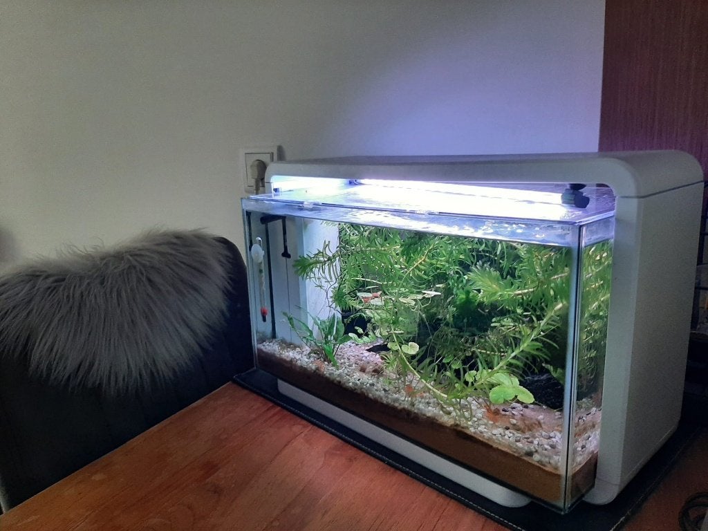 Aquarium Superfish met inhoud, Dieren en Toebehoren, Vissen | Aquaria en Toebehoren, Gebruikt, Overige typen, Superfish, Ophalen