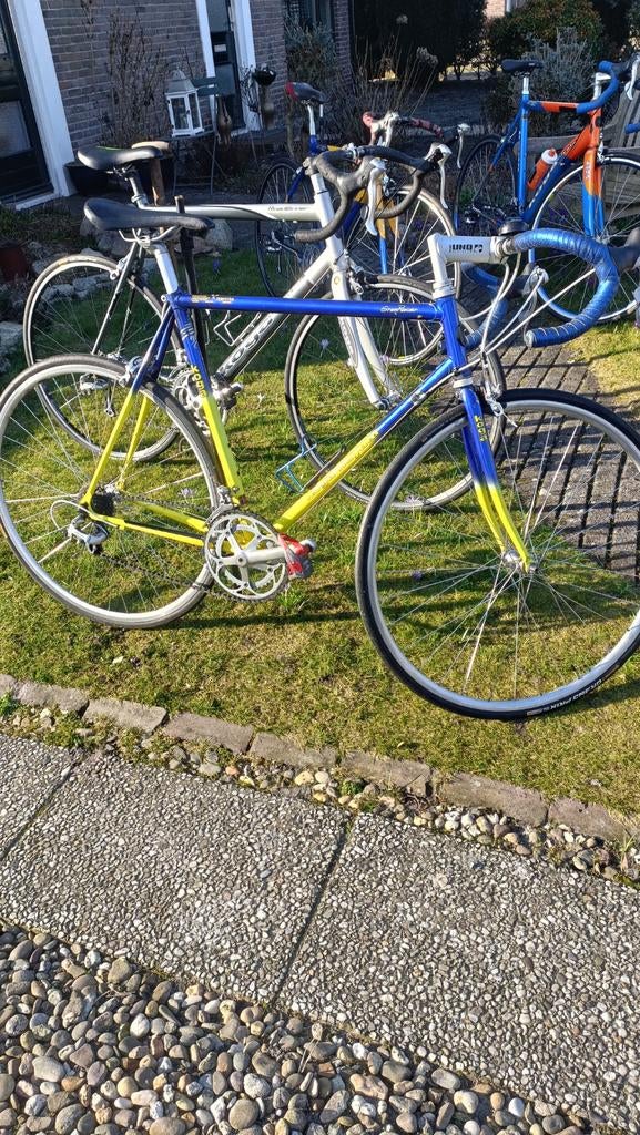 Koga Miyata Roadracer, Ophalen, Gebruikt, 10 tot 15 versnellingen, Koga Miyata