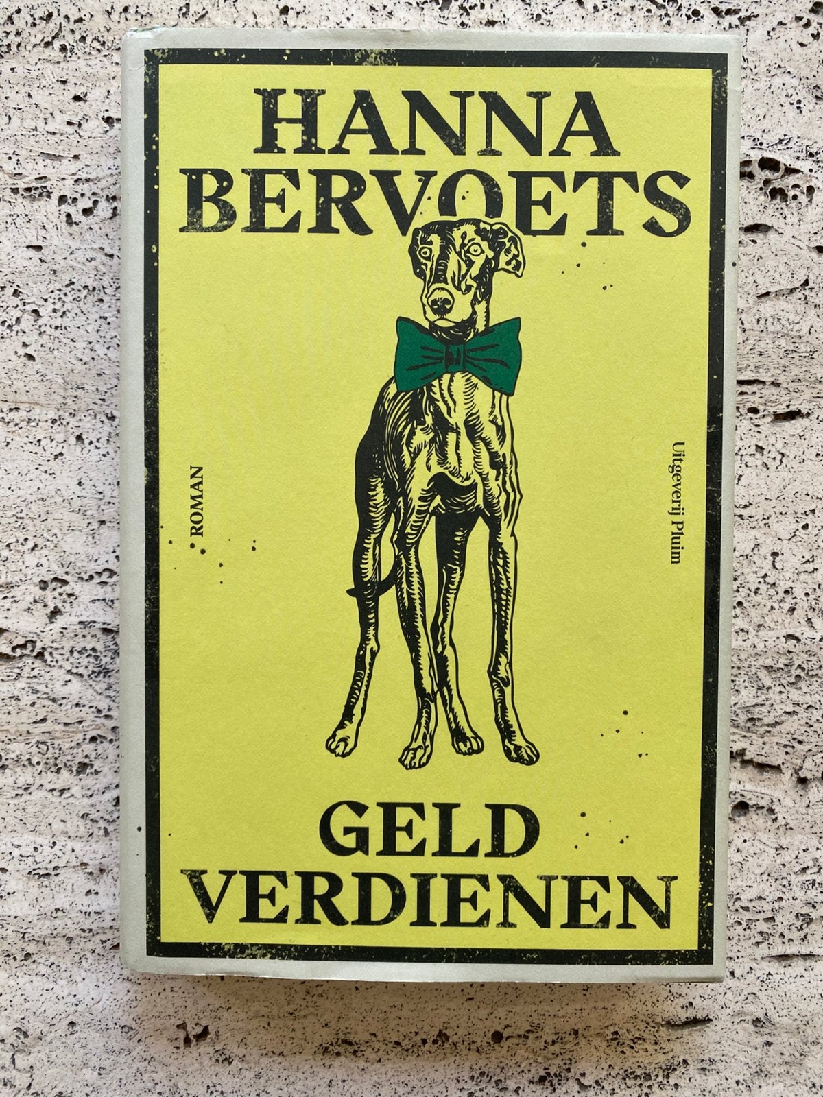 Hanna Bervoets ~ Geld verdienen, Ophalen of Verzenden, Zo goed als nieuw