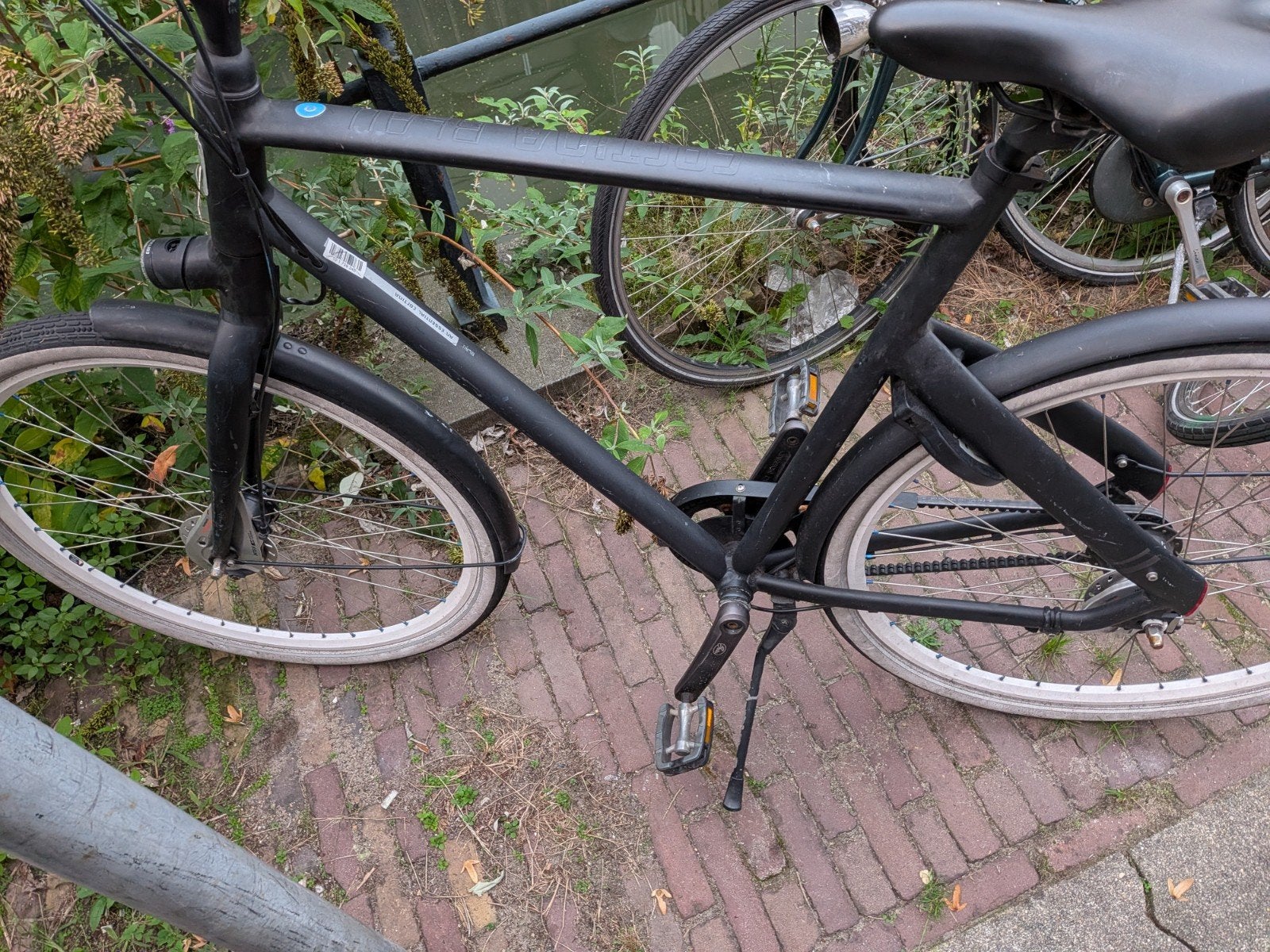 Cortina Blau 2023 L met powerbank en recente fietscheck, 59 cm of meer, Ophalen, Gebruikt, Cortina