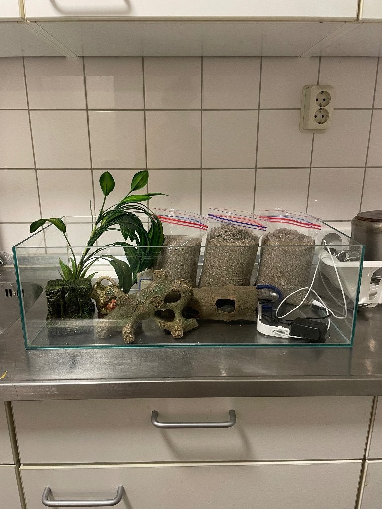 Vissenkom, Dieren en Toebehoren, Ophalen of Verzenden, Gebruikt, Leeg aquarium
