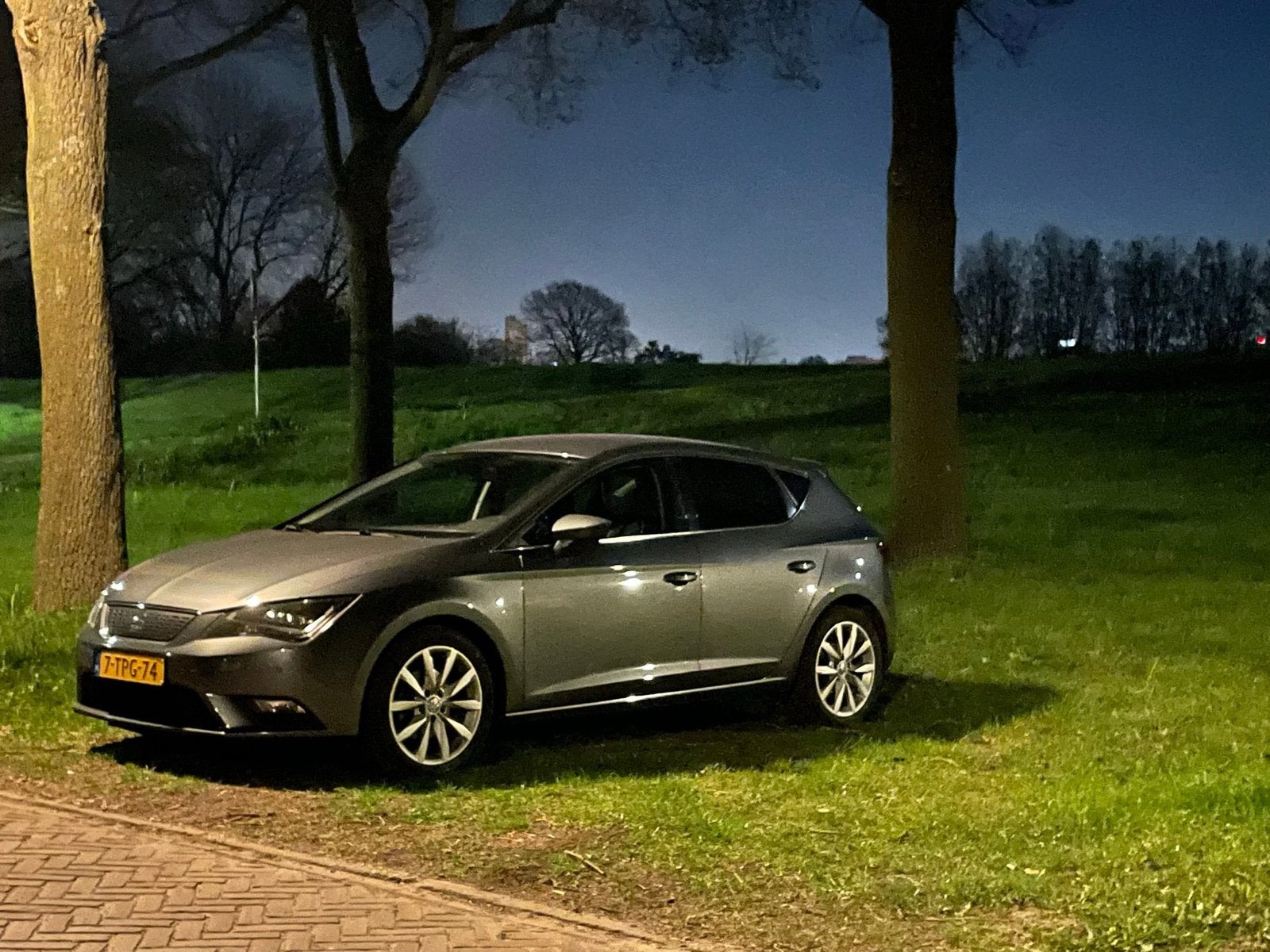 Seat Leon 1.6 TDI 81KW/110PK 2014 Grijs, Ophalen