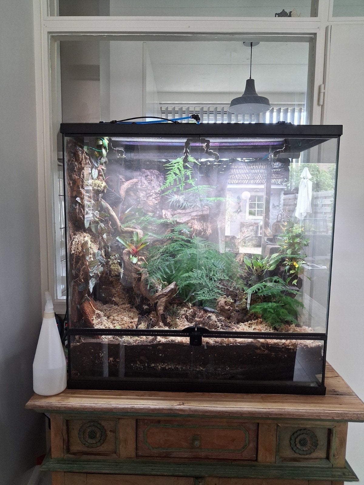 Compleet terrarium, Dieren en Toebehoren, Reptielen en Amfibieën | Toebehoren, Ophalen