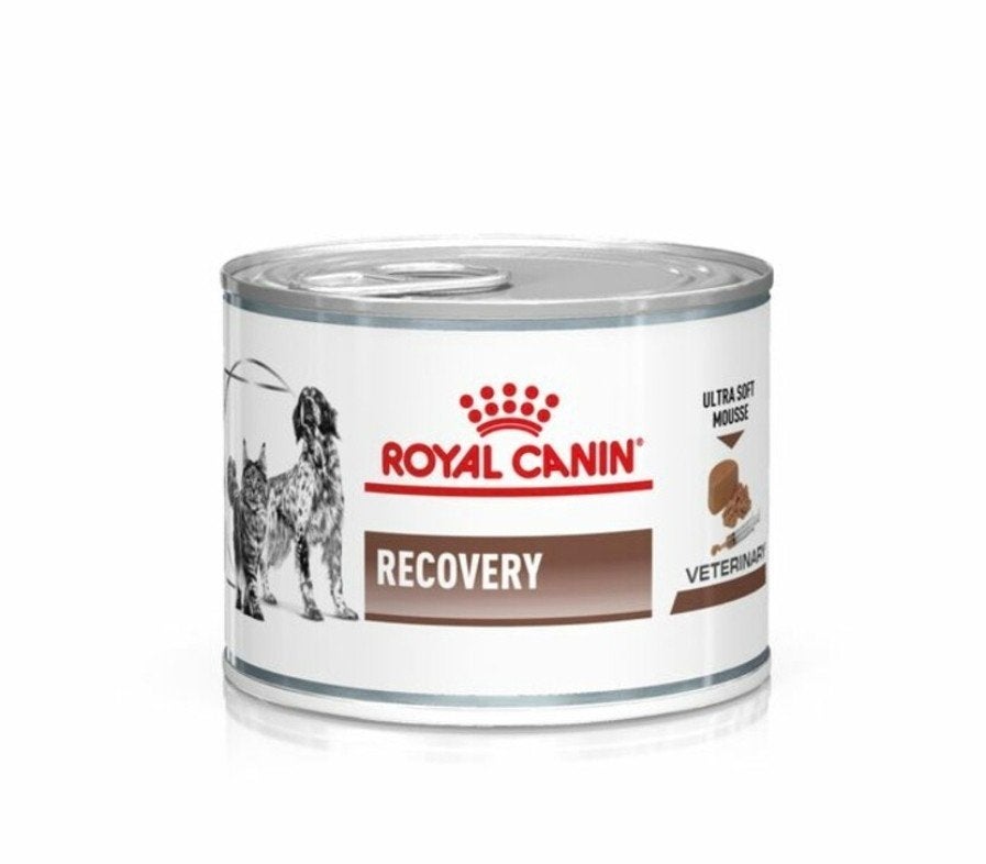 Royal canin recovery 12 blikjes, Dieren en Toebehoren, Dierenvoeding, Ophalen, Kat