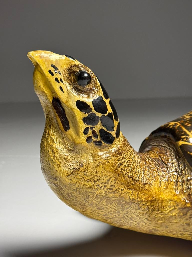 Schildpad Replica Kunststof, Ophalen