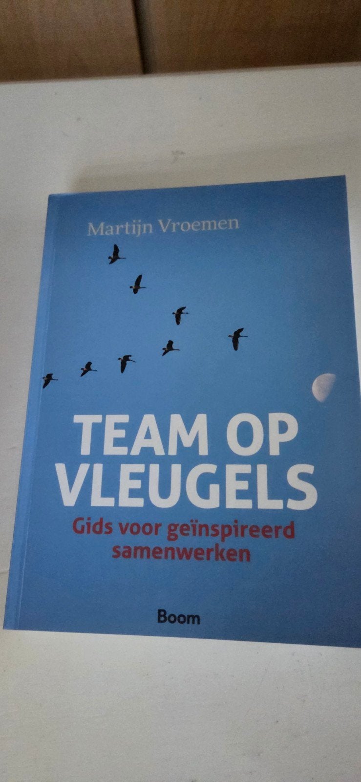 Team op Vleugels - Gids voor geïnspireerd samenwerken, Boeken, Ophalen of Verzenden, Gelezen, Martijn Vroemen