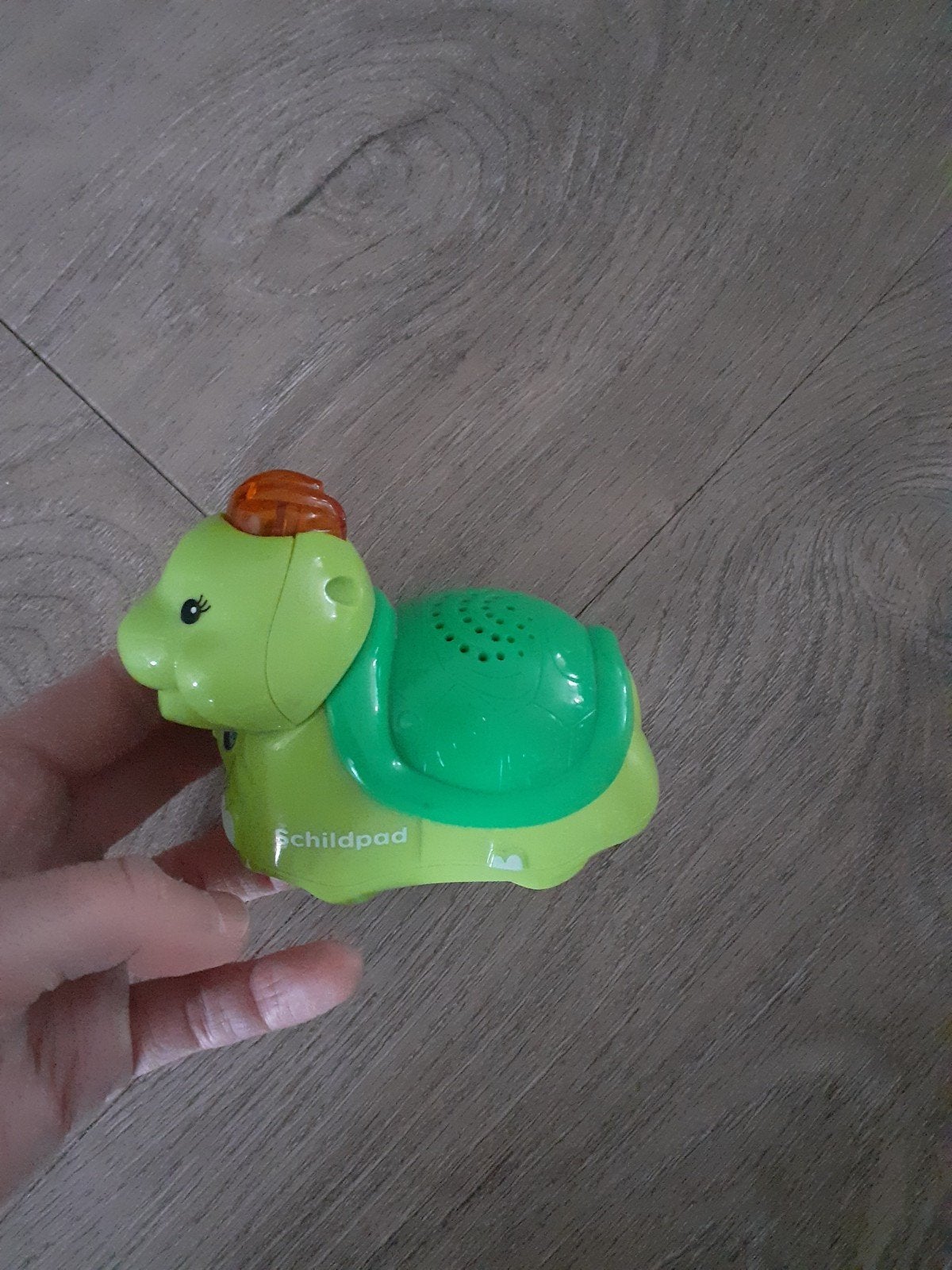 Zoef zoef schildpad, Ophalen of Verzenden, Zo goed als nieuw, 6 maanden tot 2 jaar