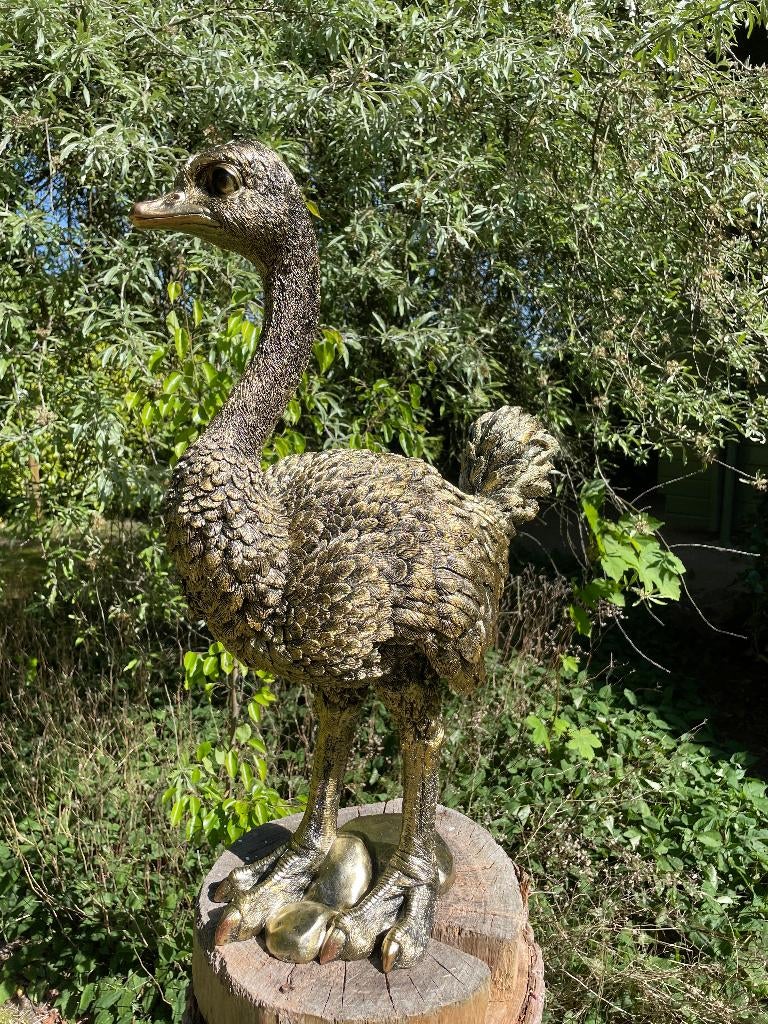 Beeld Struisvogel middel, gazon, tuin, dierentuin 70cm, Ophalen, Nieuw, Kunststof, Dierenbeeld