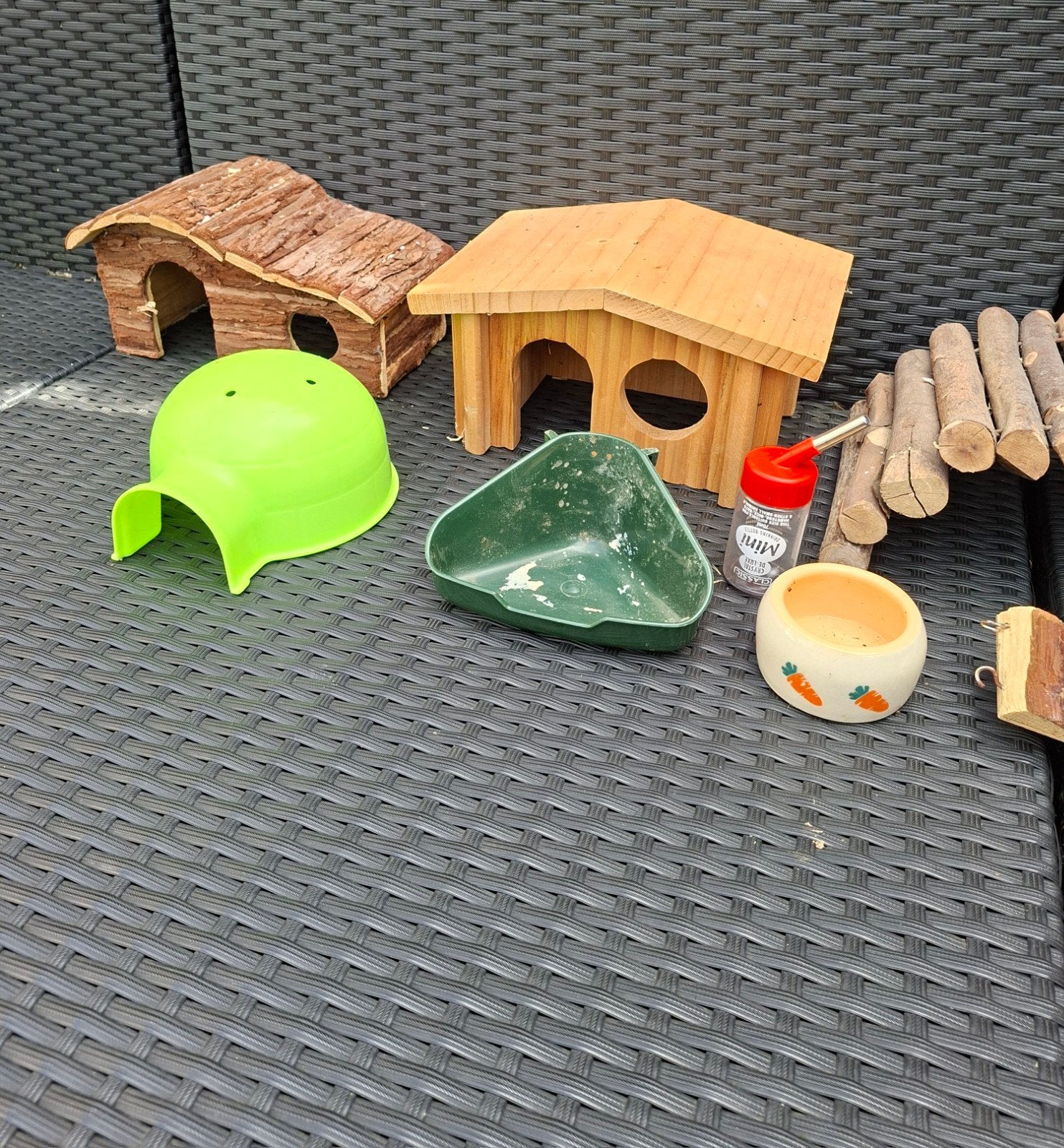 hamster accessoires, Januari, Vrouwelijk, Hamster