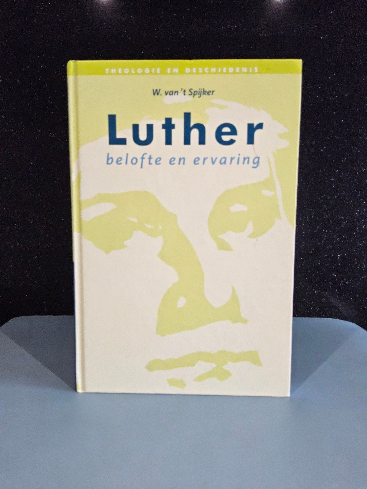 Luther,  belofte en ervaring, Ophalen of Verzenden, Zo goed als nieuw, W. van 't Spijker, Christendom | Protestants