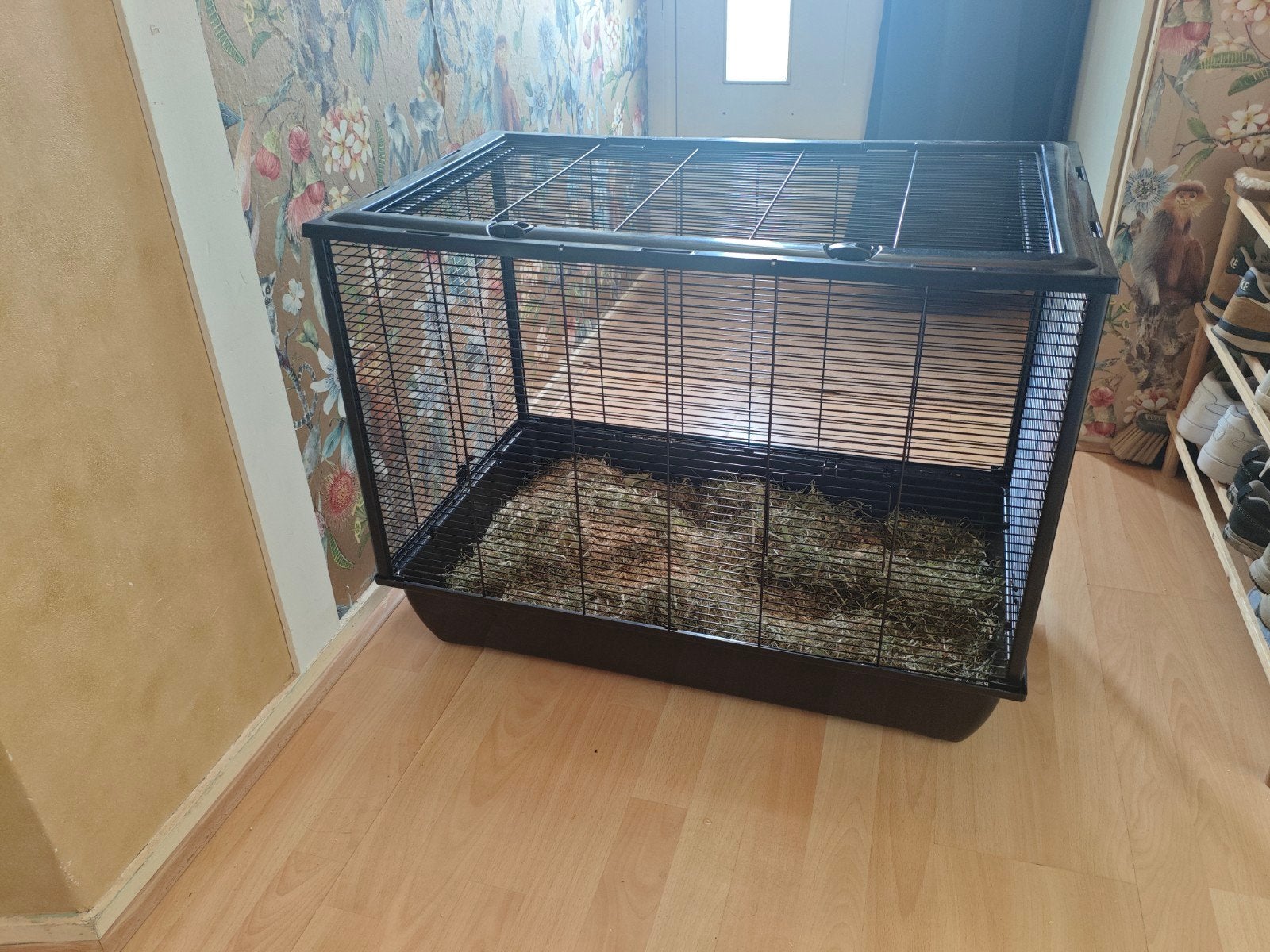 Hamsterkooi, Ophalen, Zo goed als nieuw, Minder dan 75 cm, Minder dan 65 cm
