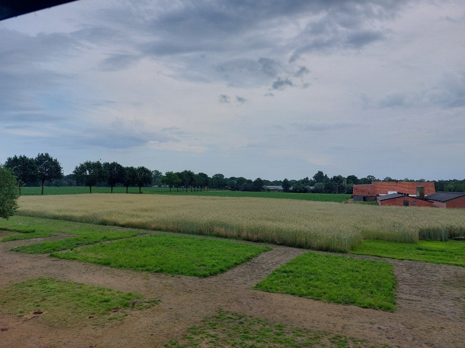 Gerst 0,6 hectare