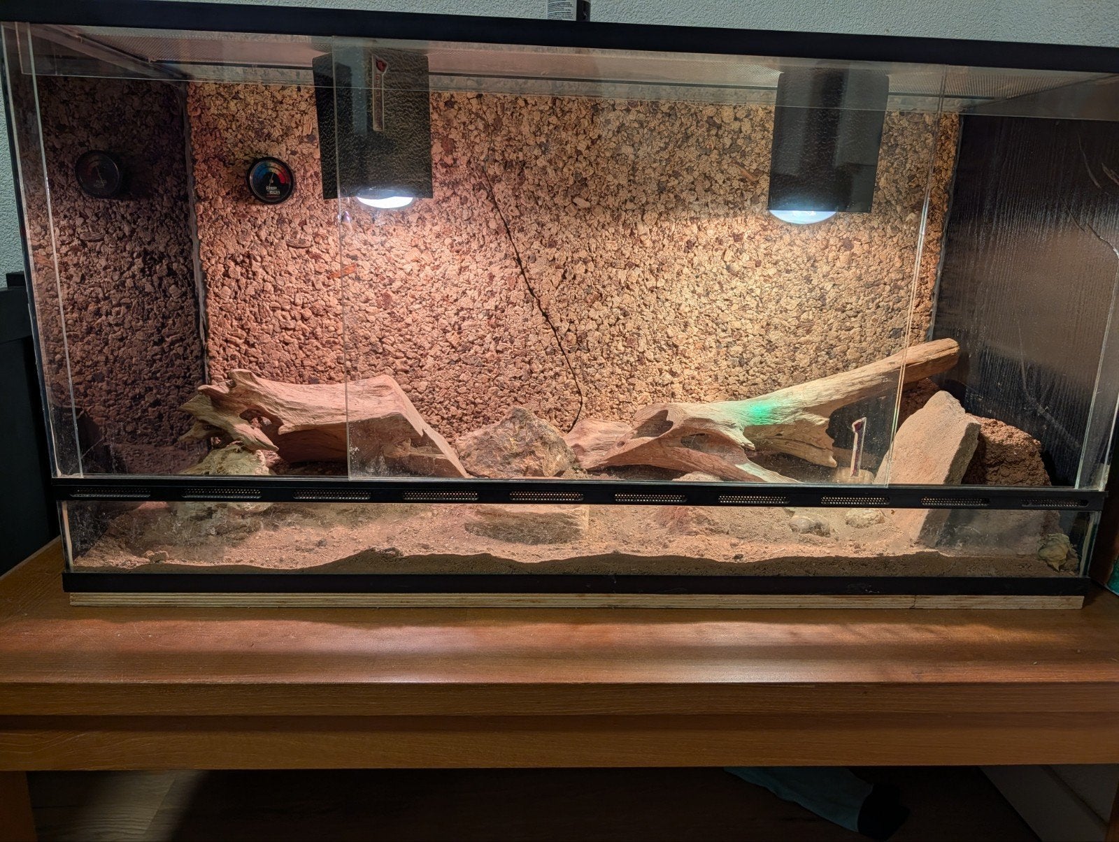 baardagaam terrarium compleet, Ophalen, Gebruikt, Terrarium of Paludarium