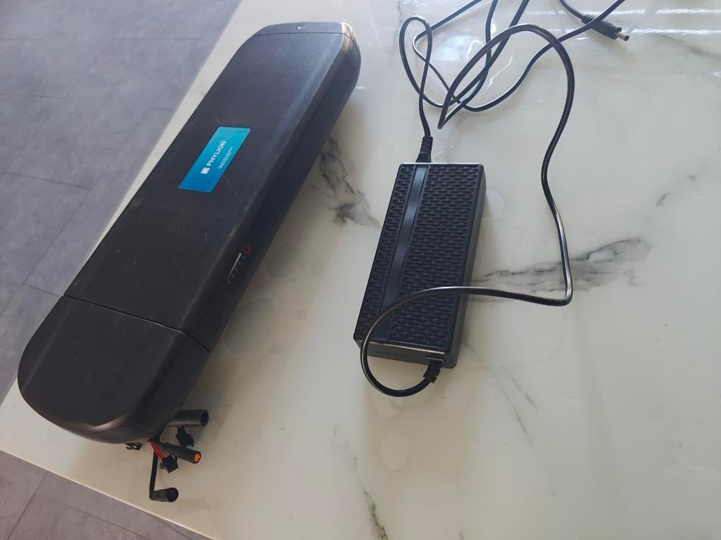 Phylion accu elektrische fiets met lader, Ophalen
