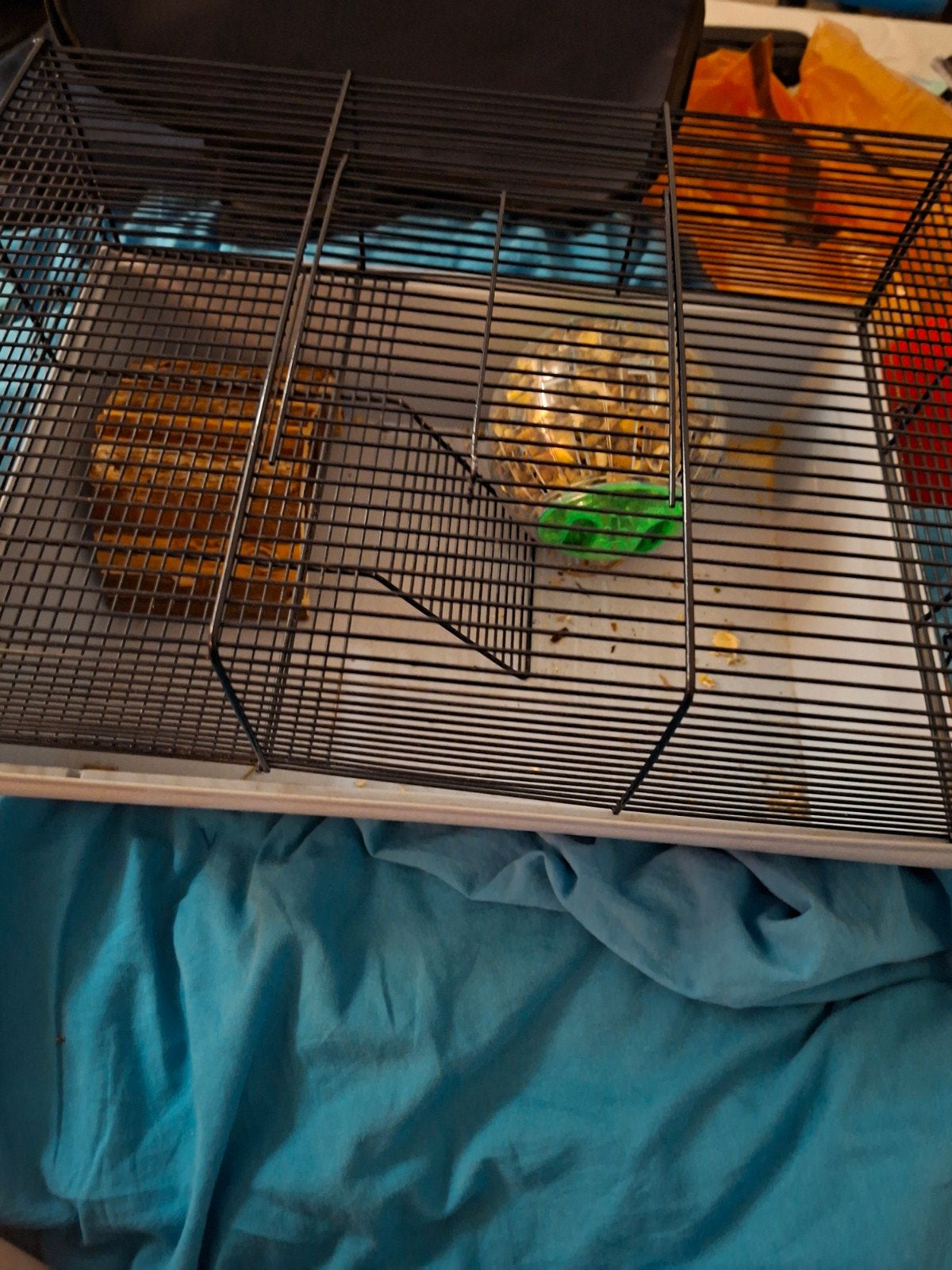 hamsterkooi, Kooi, Minder dan 75 cm, Zo goed als nieuw, Hamster