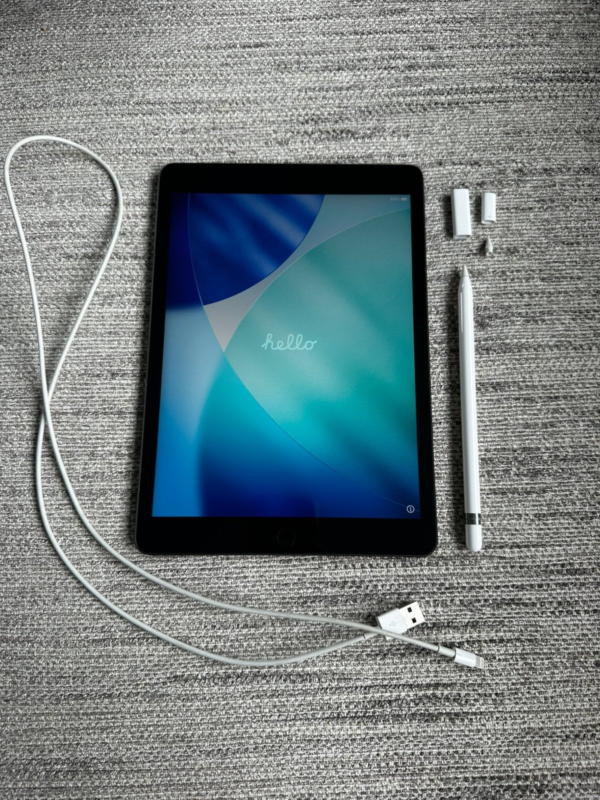 iPad (9e generatie) + APPLE Pencil 1e Generatie + hoes, Computers en Software, Apple iPads, Apple iPad, Zo goed als nieuw, Wi-Fi