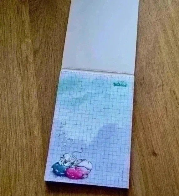 Diddl misdruk A6 120, Verzamelen, Ophalen of Verzenden, Diddl, Zo goed als nieuw, Papier, Kaart of Schrift