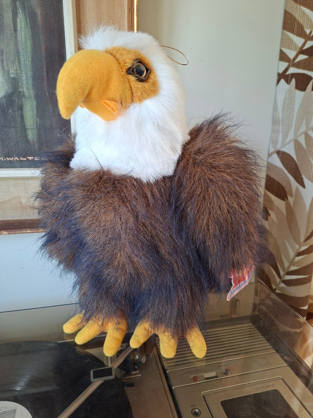 Nieuwe knuffel vogel zeearend, Overige typen, Nieuw, Ophalen of Verzenden, Nvt