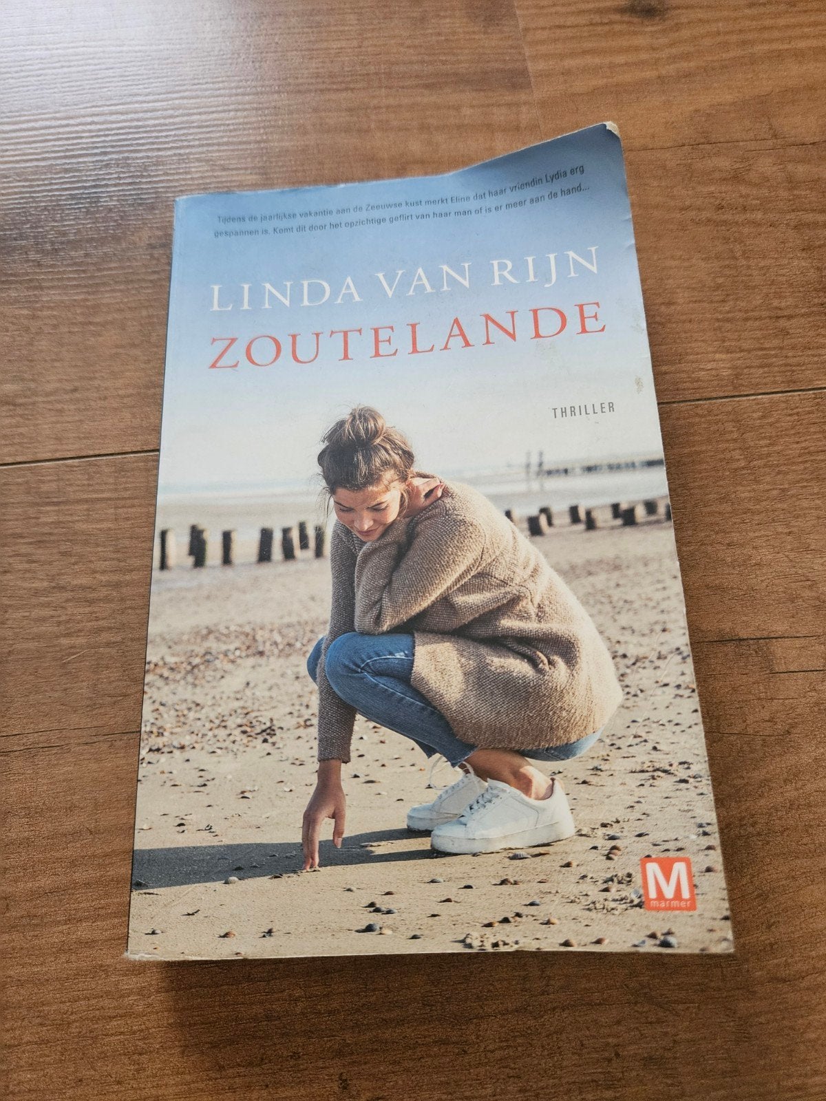 Linda van Rijn - Zoutelande (Thriller), Ophalen of Verzenden, Gelezen, Linda van Rijn, Nederland
