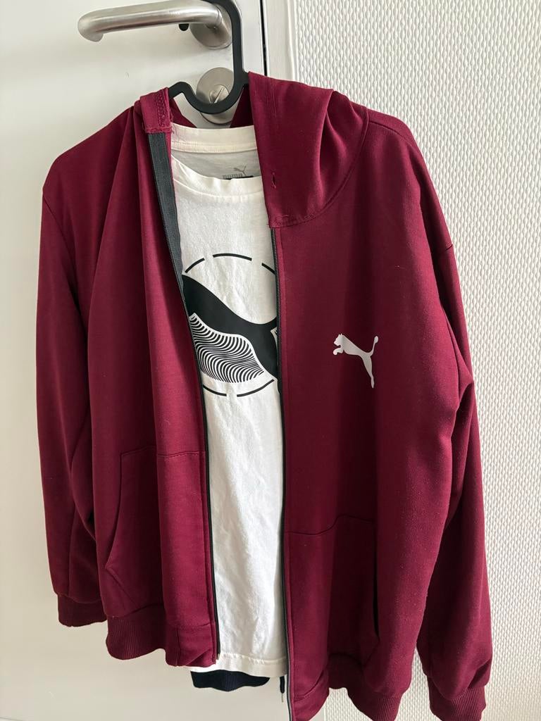 Puma trainingspak (hoodie en broek) - Maat M, Ophalen of Verzenden, Zo goed als nieuw, Maat 48/50 (M), Overige kleuren