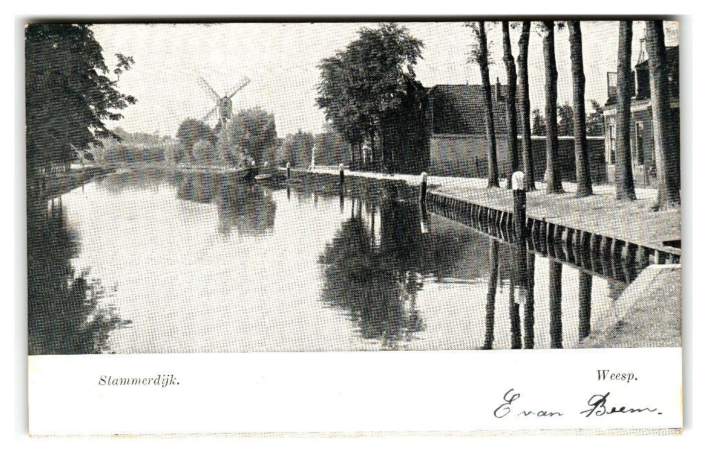 Weesp, Stammerdijk, Verzenden, Voor 1920, Gelopen, Noord-Holland