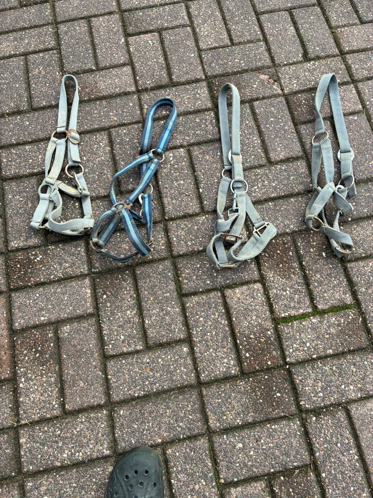 Tk  4 pony halsters, Ophalen, Zo goed als nieuw, Pony
