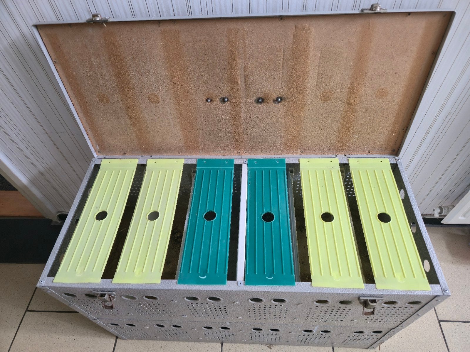 6 of 12 delig duiven vervoersbox, Dieren en Toebehoren, Vogels | Duiven, Geslacht onbekend, Overige soorten