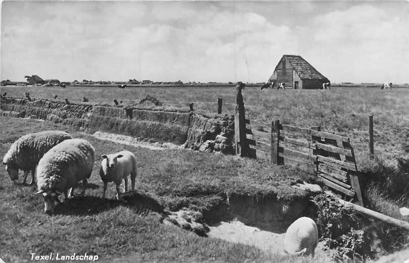 377-171-025 Texel, Verzenden, Voor 1920, Noord-Holland