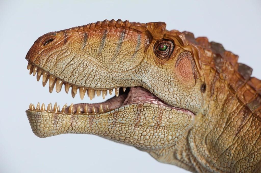 Nanmu Studio Giganotosaurus Behemoth met base, Ophalen of Verzenden, Zo goed als nieuw, Dier